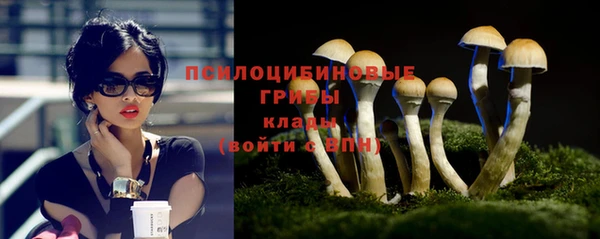 кокс Гусиноозёрск